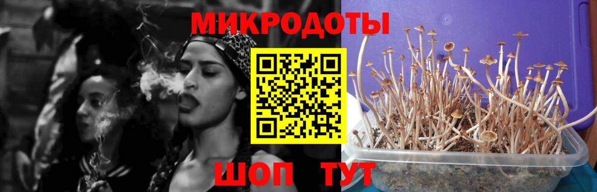Галлюциногенные грибы Psilocybine cubensis  Вход с VPN  Кирово-Чепецк 